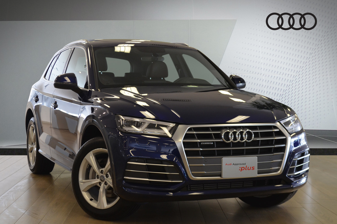 Audi Q5 Design 2.0 TFSI quattro S tronic (252hp) - 2019